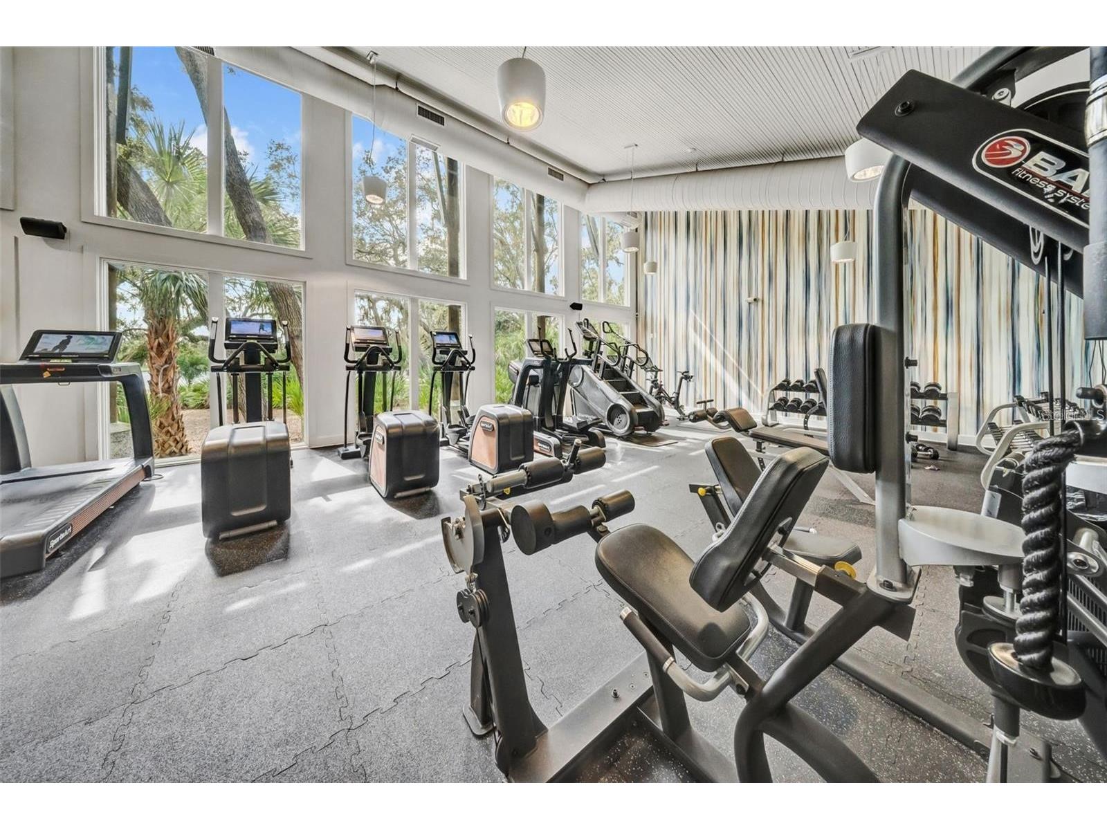 5703 Village Center Drive Lithia FL 33547 TB8520877 image42