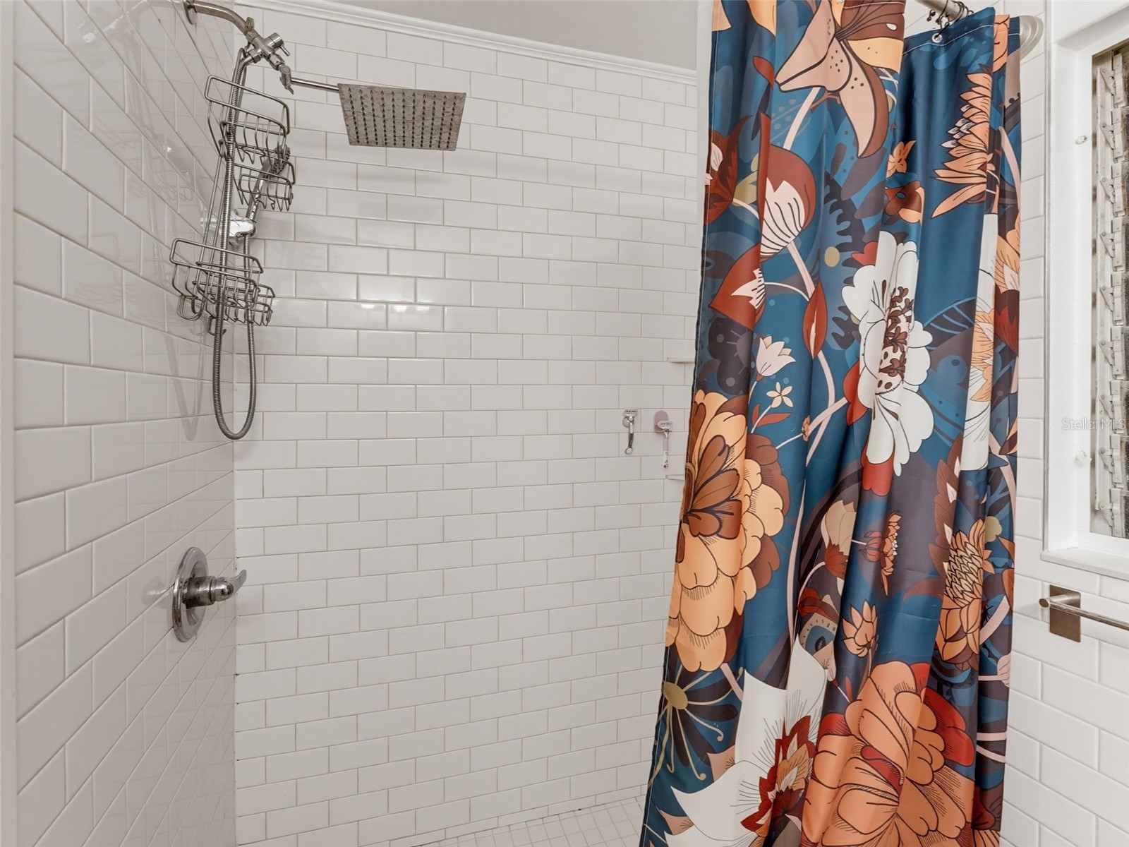5704 13th Street Zephyrhills FL 33542 W7887419 image21