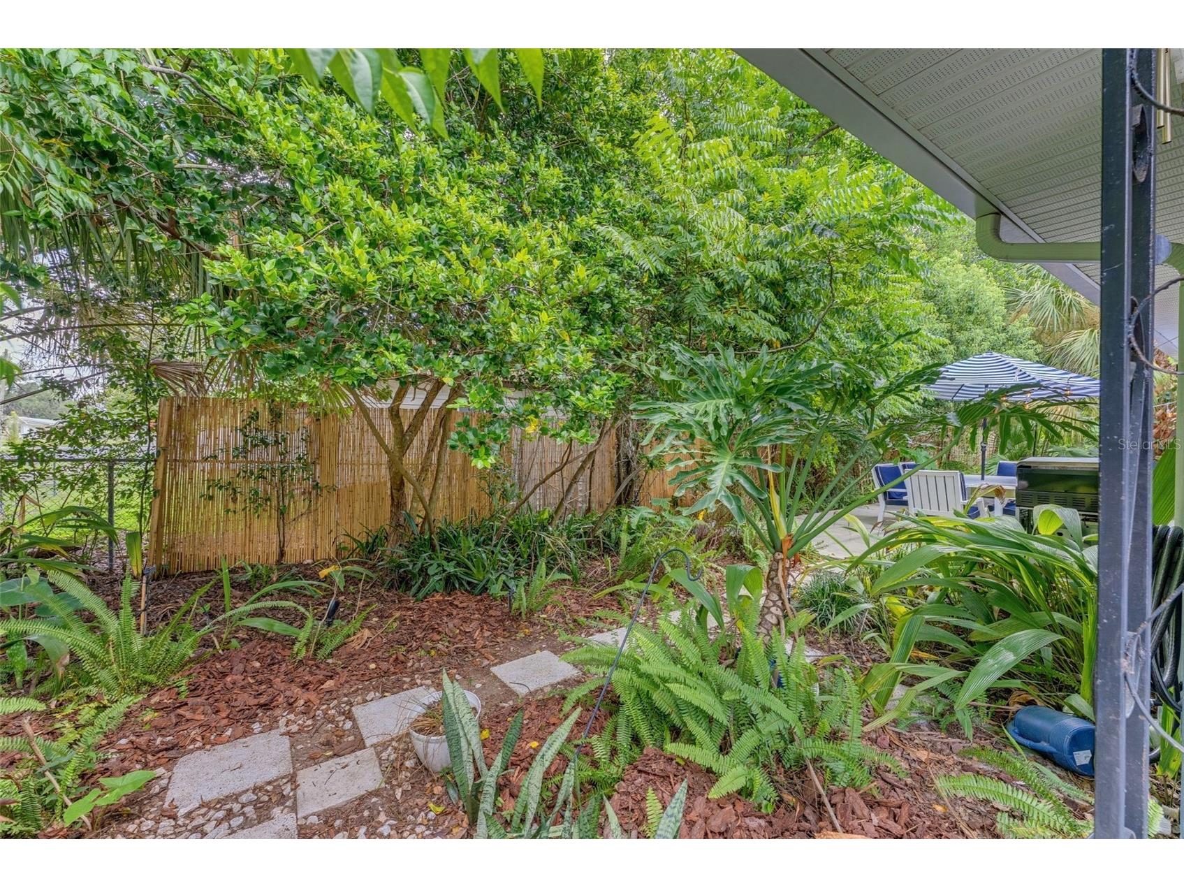 5704 13th Street Zephyrhills FL 33542 W7887419 image36