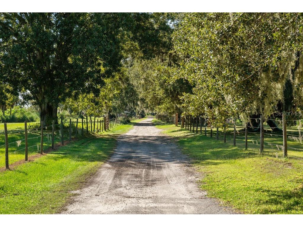 5704 Old Homeland Road Bartow FL 33830 O6359303 image5