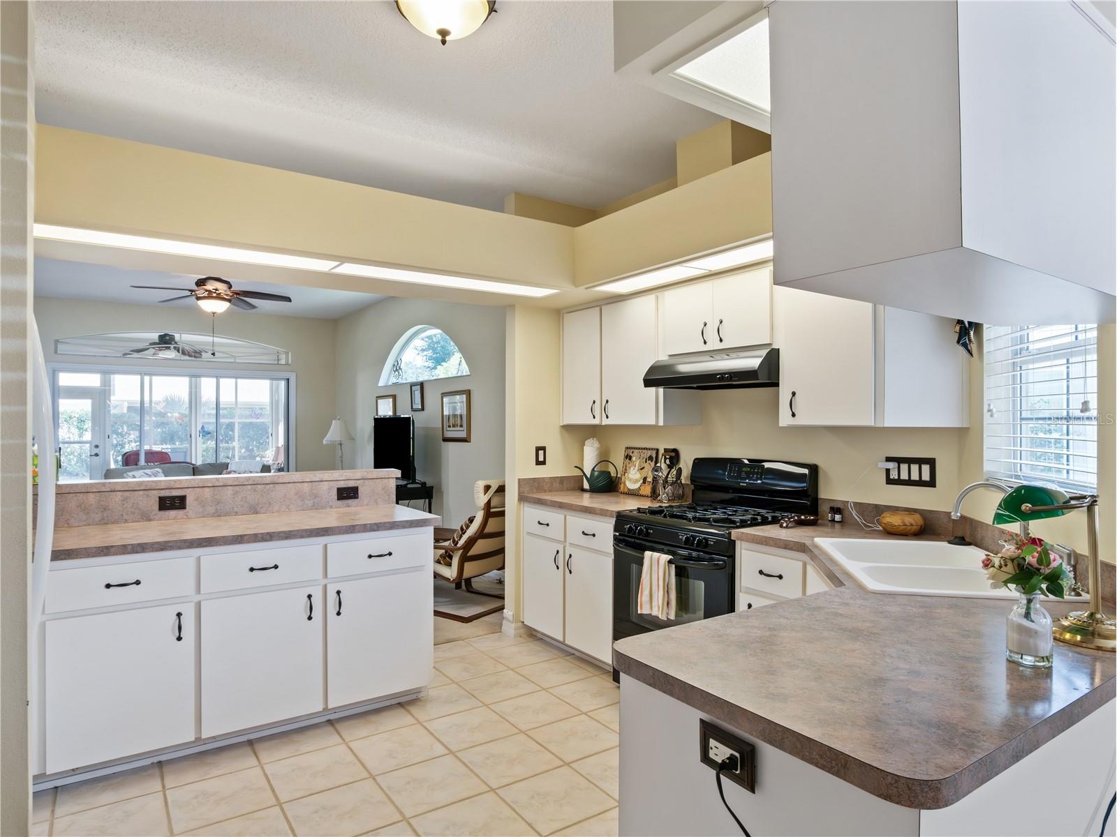 5705 King James Avenue Leesburg FL 34748 - COMMUNITY LAKES AND PONDS G5113199 image18