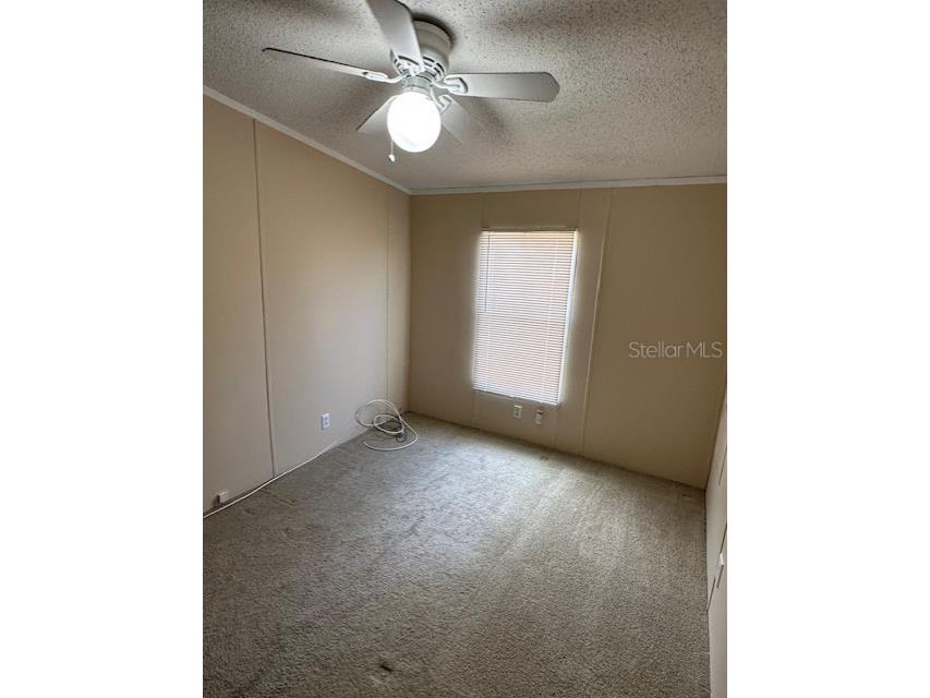 5705 Middlesex Drive Tampa FL 33615 TB8413034 image3