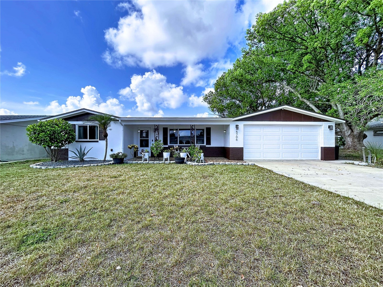 5706 Dove Drive New Port Richey FL 34652 TB8523156 image1