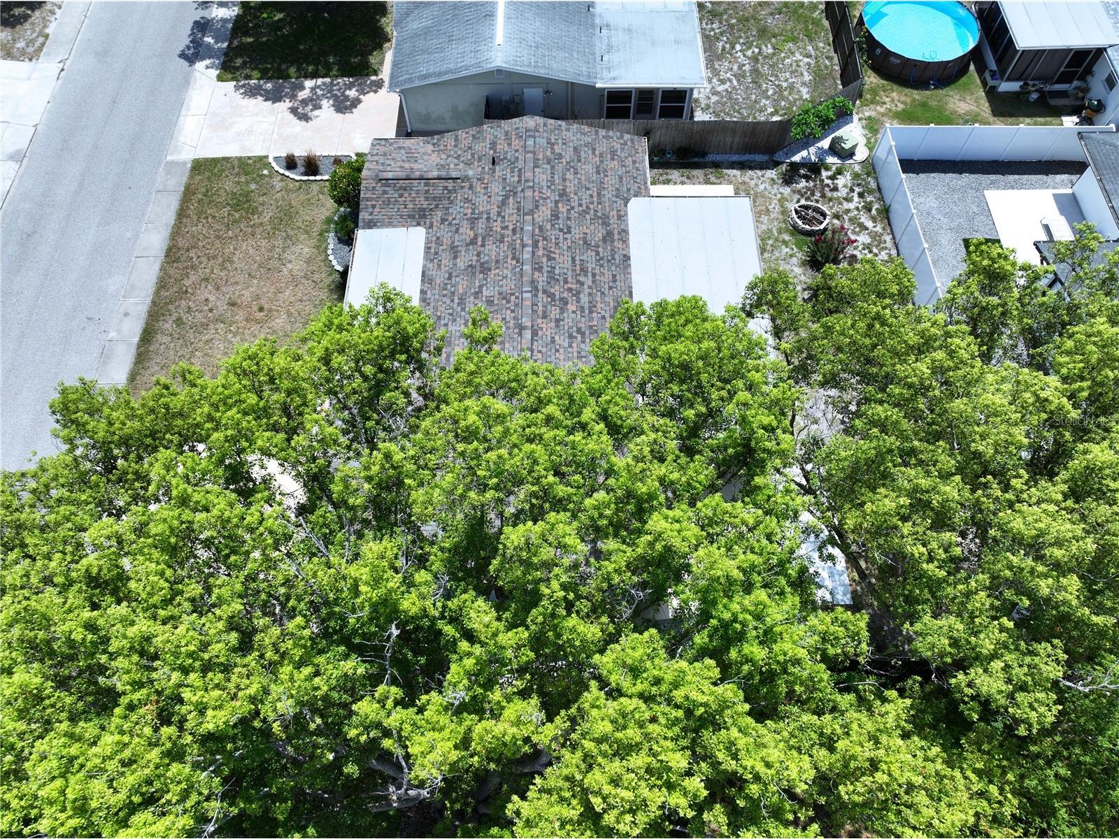 5706 Dove Drive New Port Richey FL 34652 TB8523156 image62