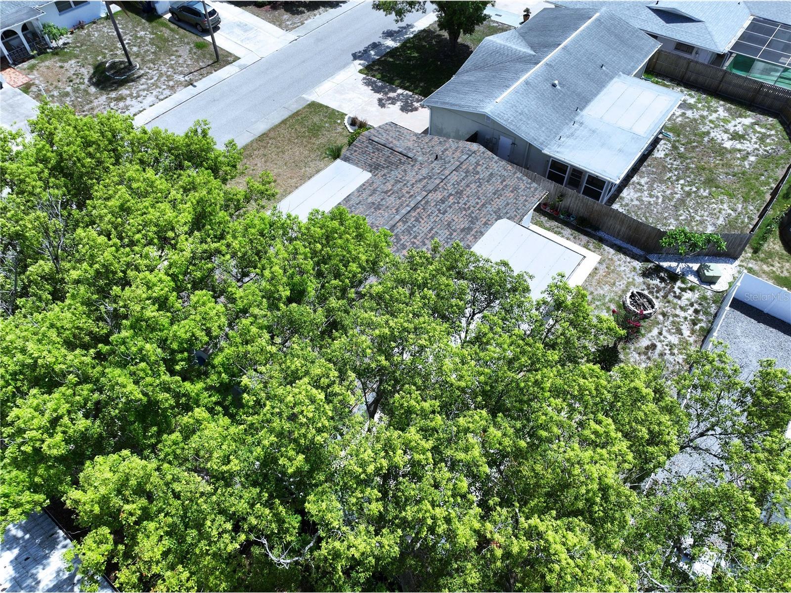 5706 Dove Drive New Port Richey FL 34652 TB8523156 image63
