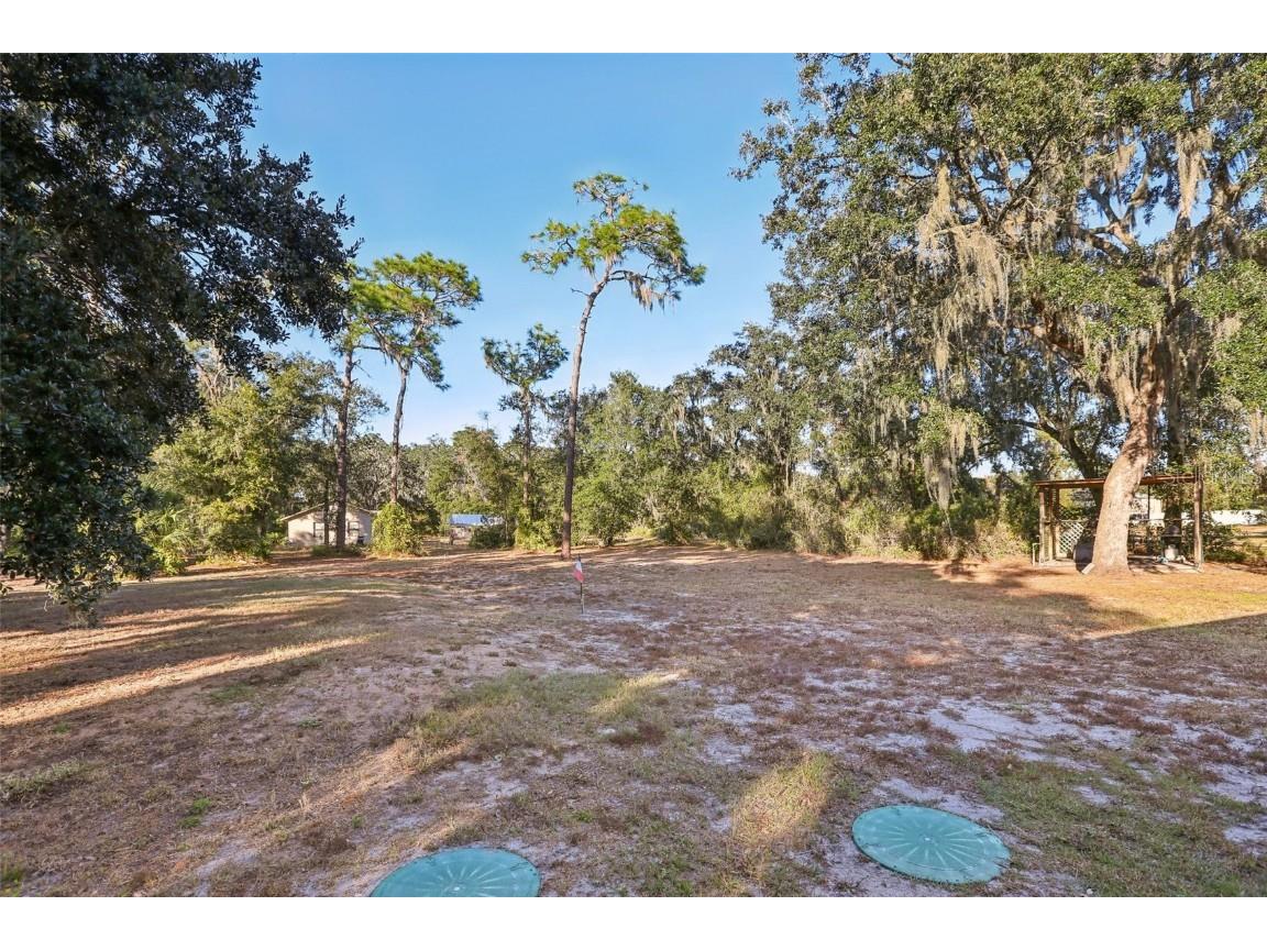 5706 Durant Road Dover FL 33527 TB8448887 image40