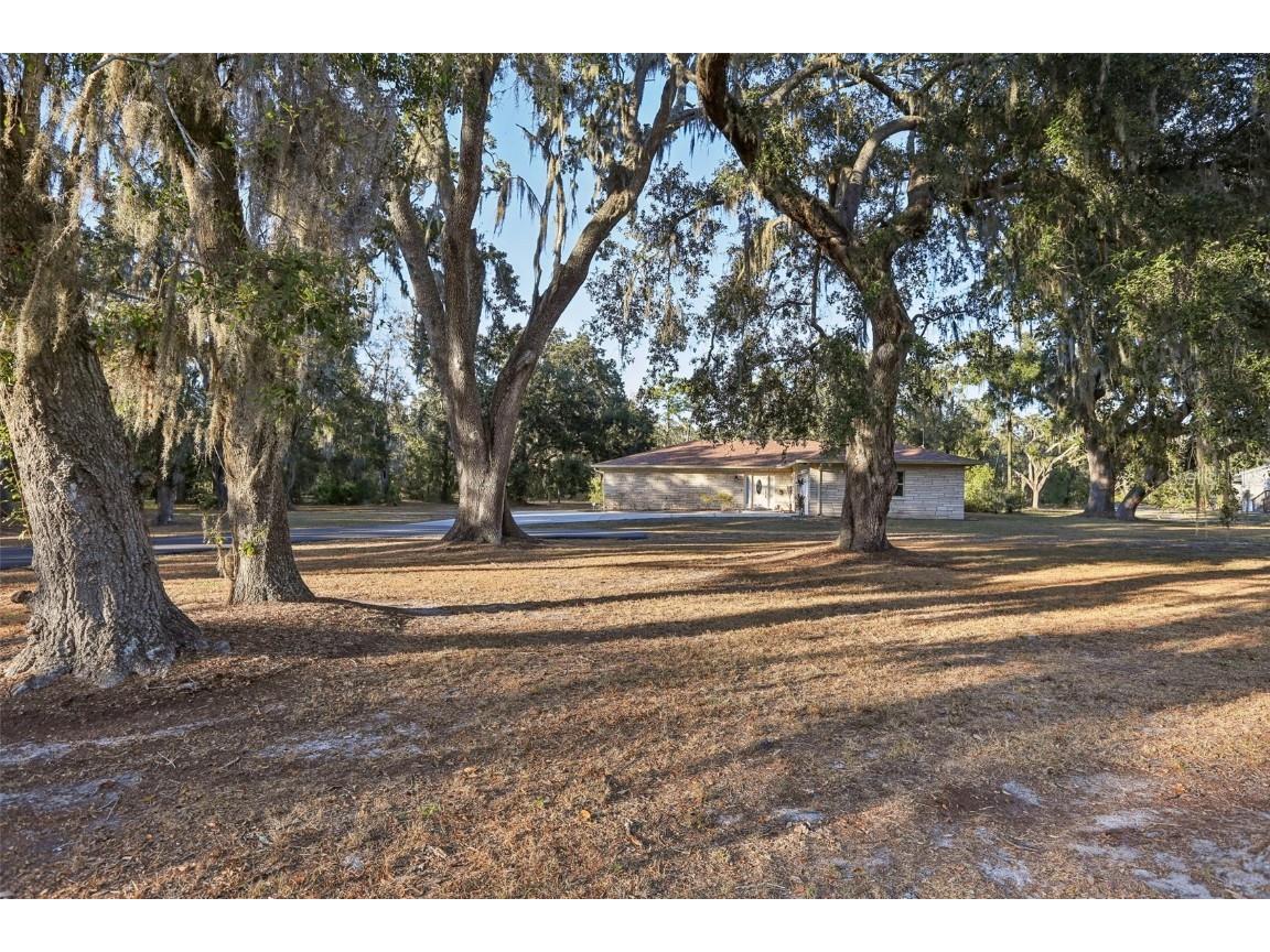 5706 Durant Road Dover FL 33527 TB8448887 image5