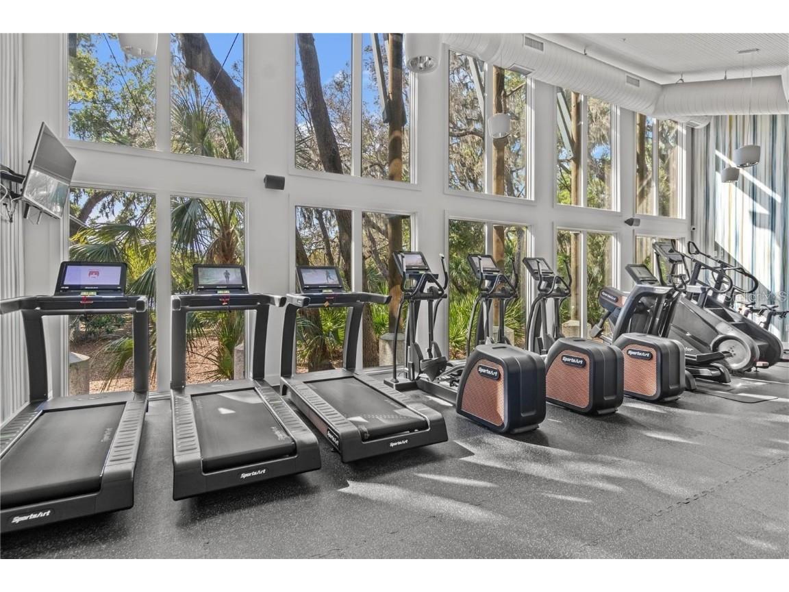 5706 Esker Falls Lane Lithia FL 33547 TB8442491 image69