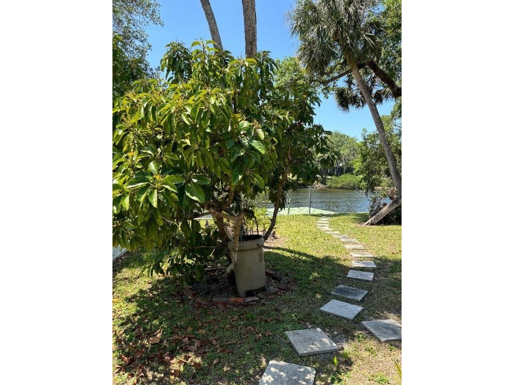 5706 River Terrace Tampa FL 33604 - HILLSBOROUGH RIVER TB8414665 image5