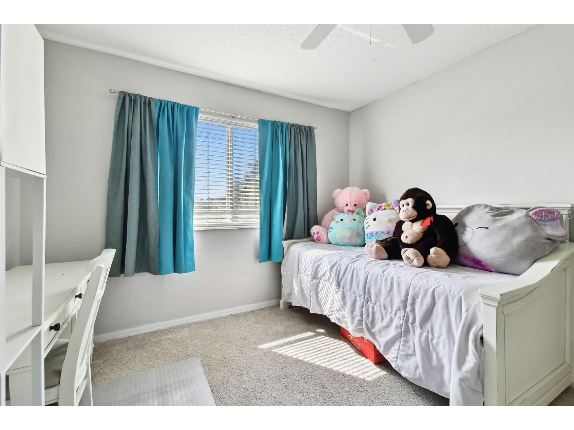 5707 Butterfield Street Riverview FL 33578 T3553033 image52