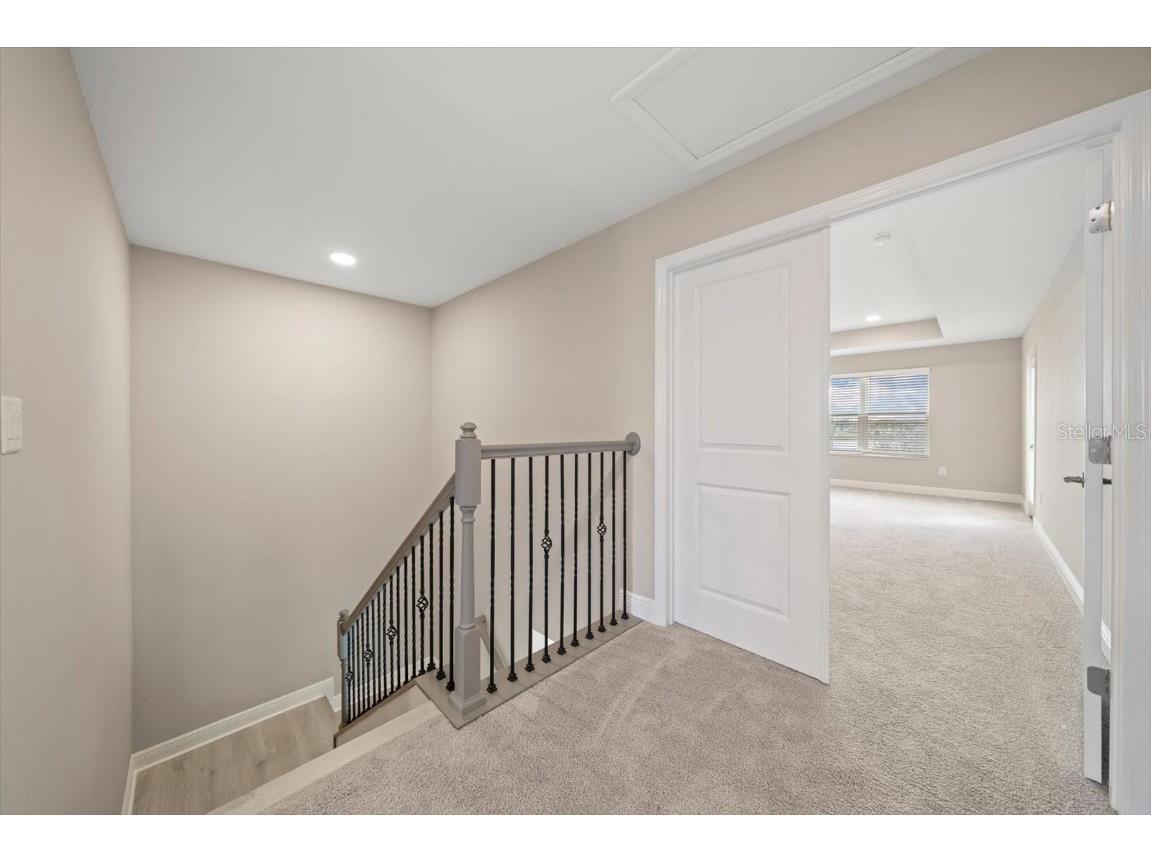 5707 Maydale Avenue Wesley Chapel FL 33545 TB8447935 image10