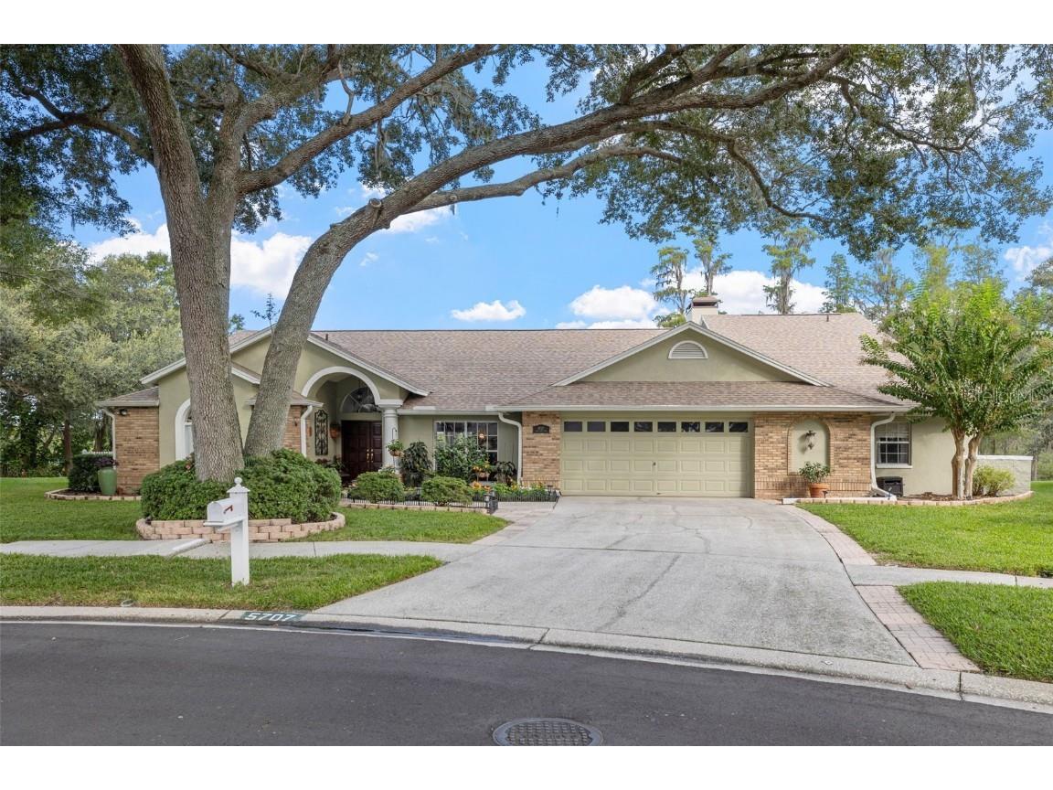 5707 Piney Lane Drive Tampa FL 33625 - LAKE GANT U8214323 image1
