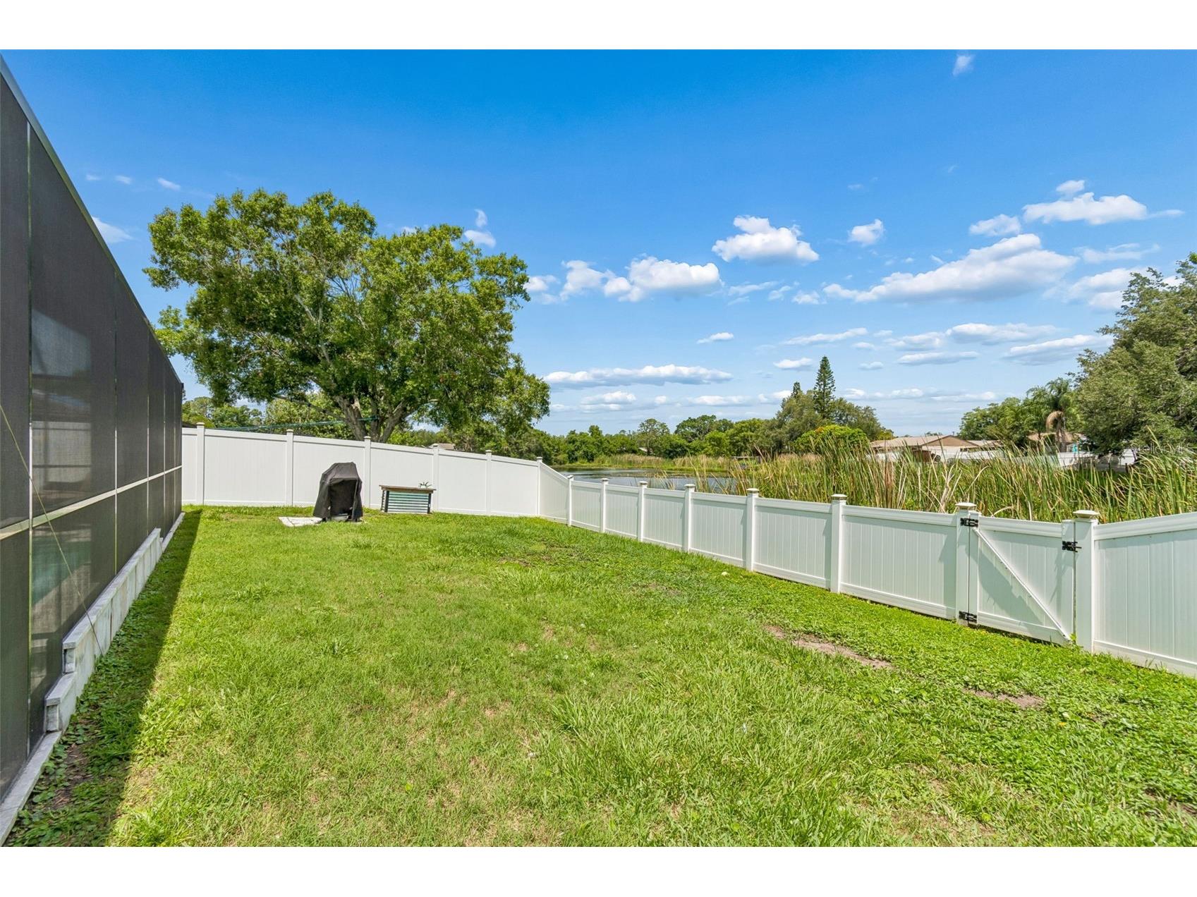 5707 Ridgestone Drive Tampa FL 33625 W7886107 image25