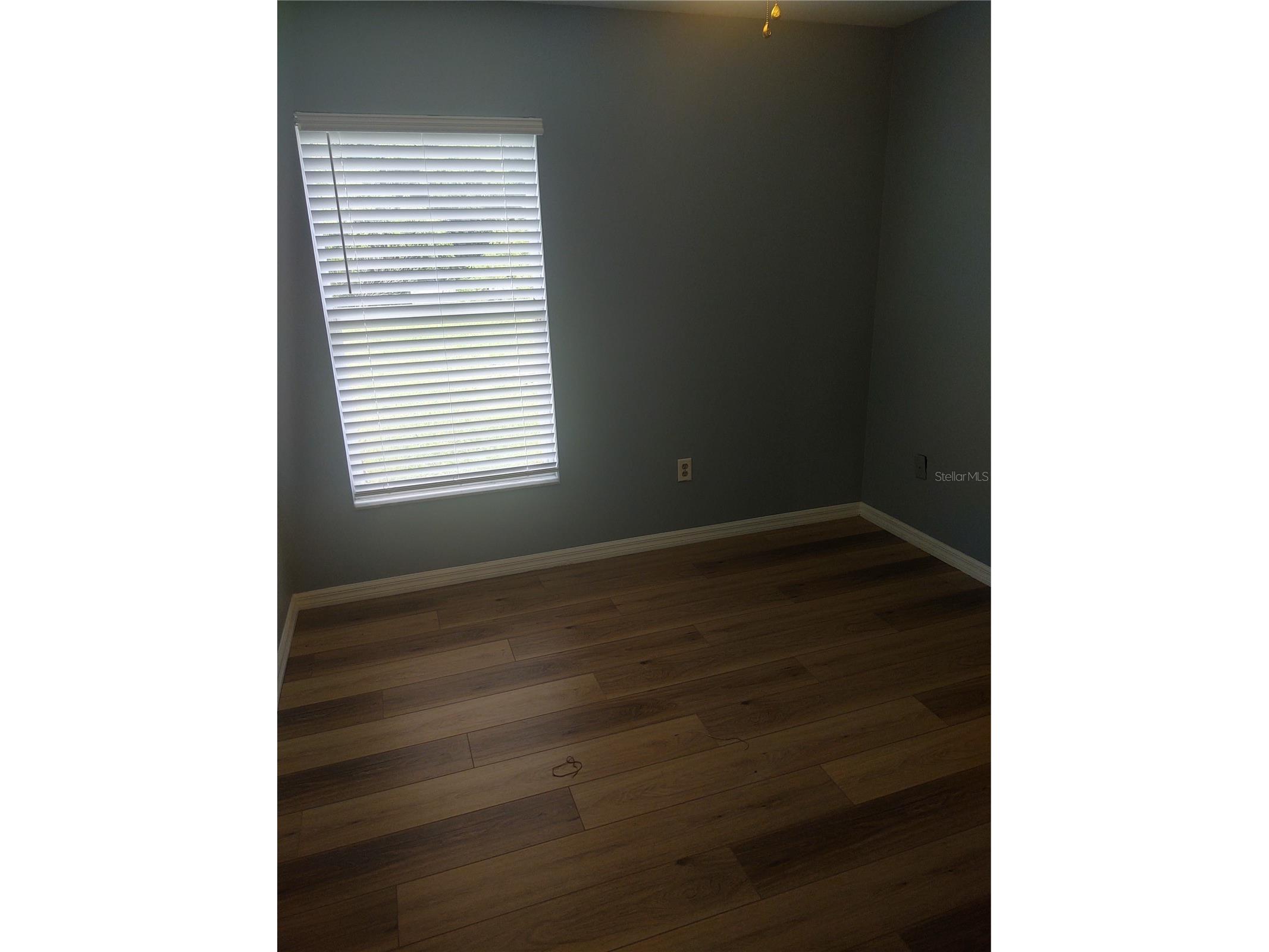 5707 Tanagerlake Road Lithia FL 33547 R4911353 image11
