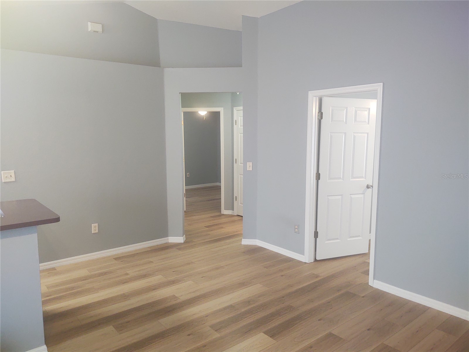 5707 Tanagerlake Road Lithia FL 33547 R4911353 image15