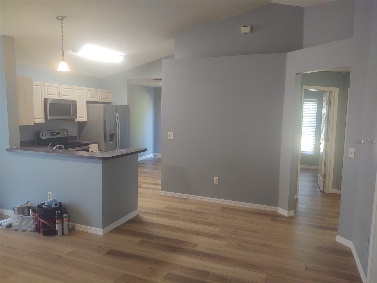 5707 Tanagerlake Road Lithia FL 33547 R4911353 image19