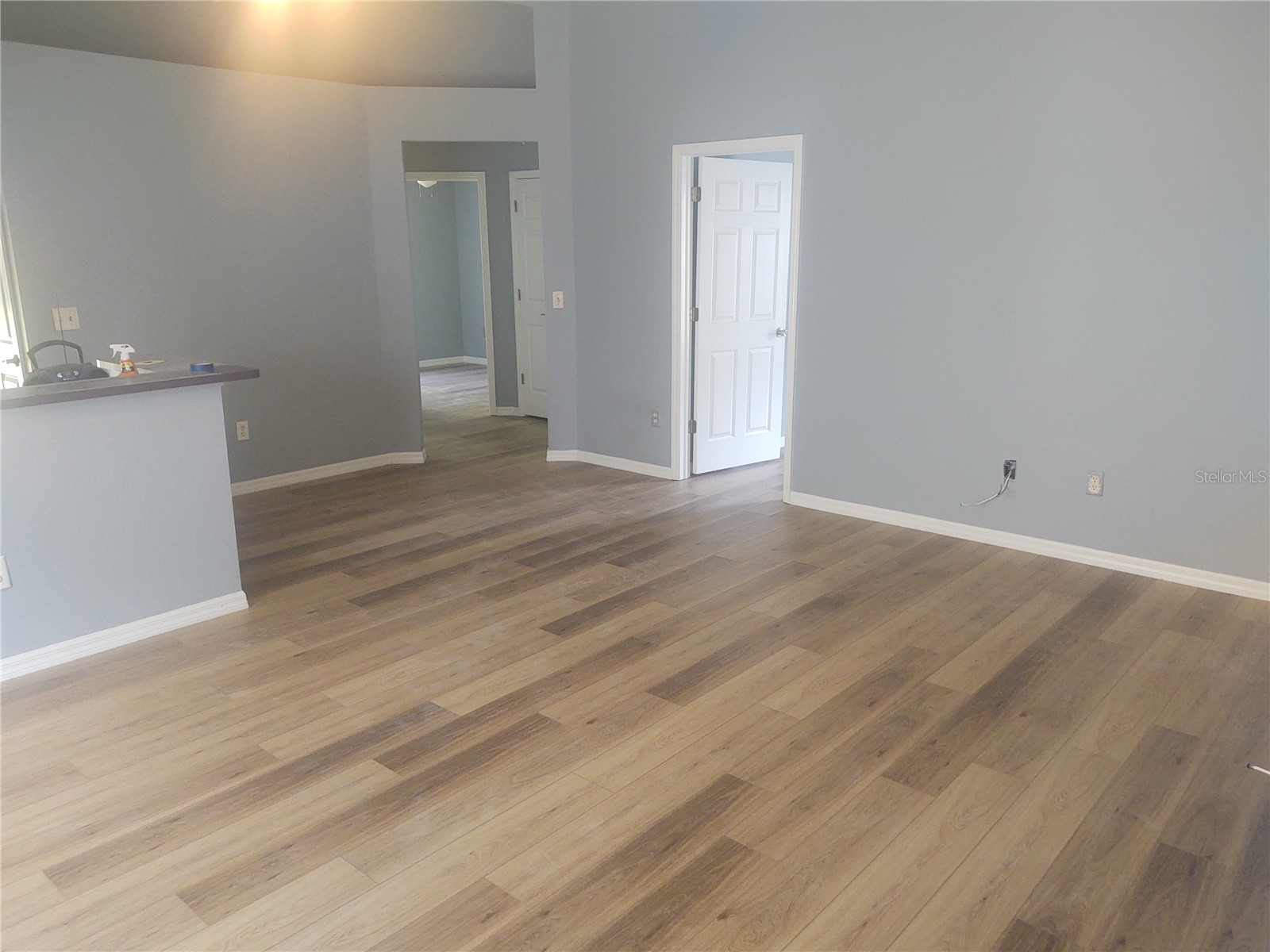 5707 Tanagerlake Road Lithia FL 33547 R4911353 image2