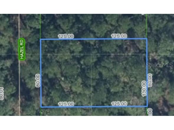 5708 Hazel Road Sebring FL 33875 P4936748 image1