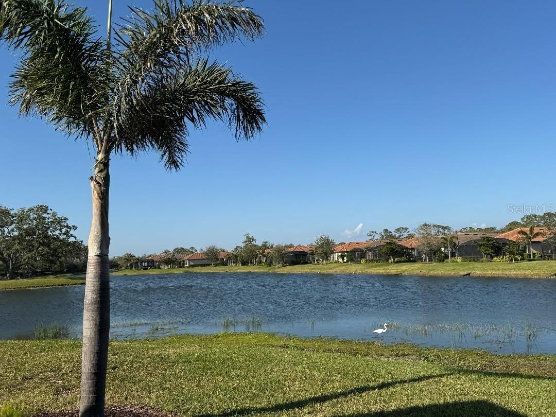 5708 Puccini Street Nokomis FL 34275 A4691796 image52