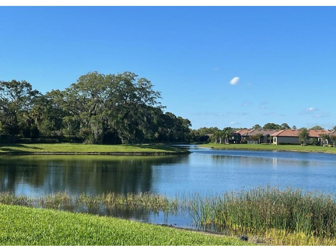 5708 Puccini Street Nokomis FL 34275 A4691796 image54