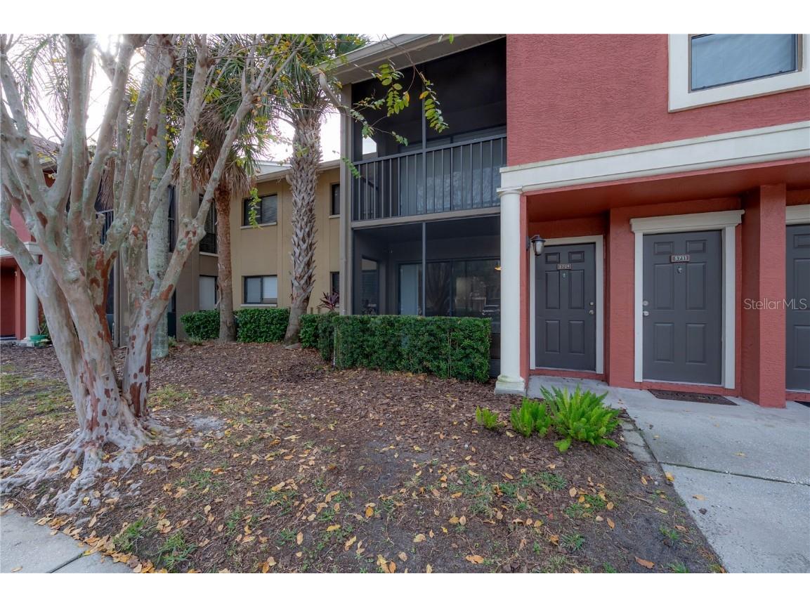 5709 Baywater Drive Tampa FL 33615 TB8460591 image18