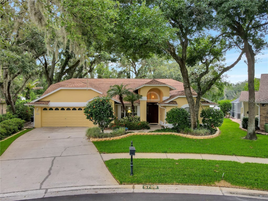 5709 Piney Lane Drive Tampa FL 33625 T3455561 image1