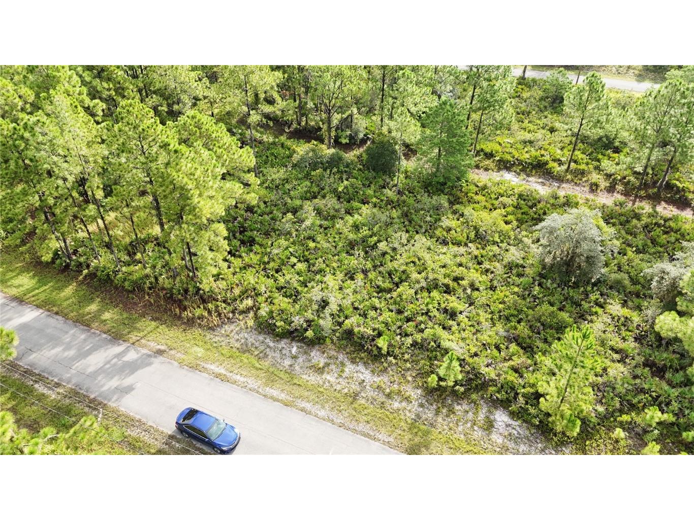 5709 San Juan Drive Sebring FL 33872 O6237310 image1