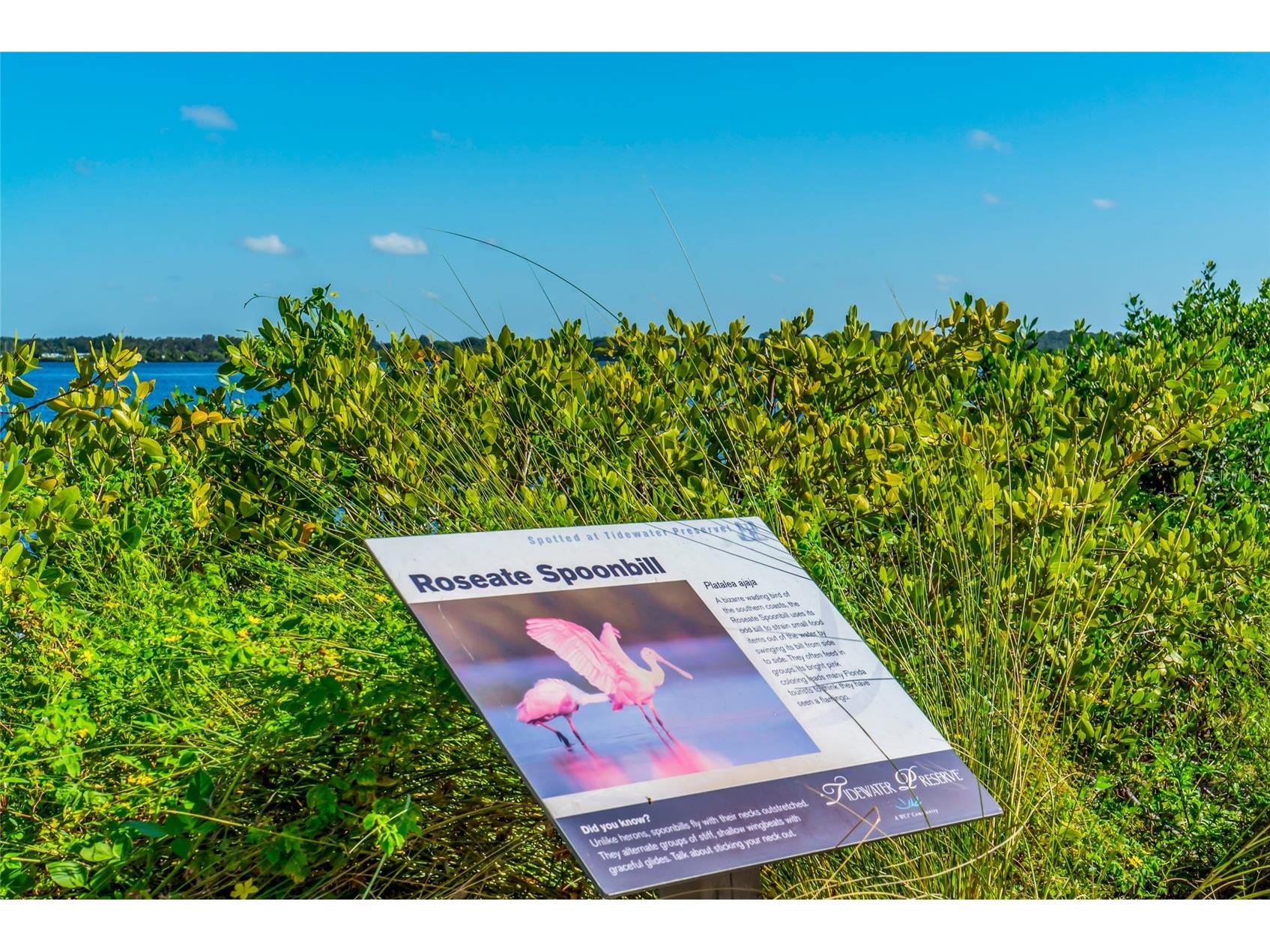5709 Tidewater Preserve Boulevard Bradenton FL 34208 A4688994 image72