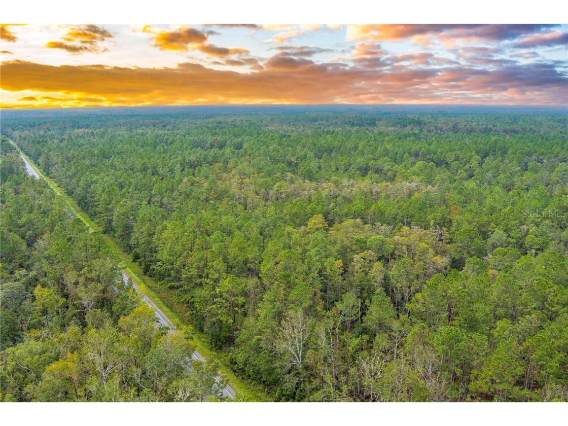 570ac Fl 51 S Mayo FL 32066 OM669323 image1
