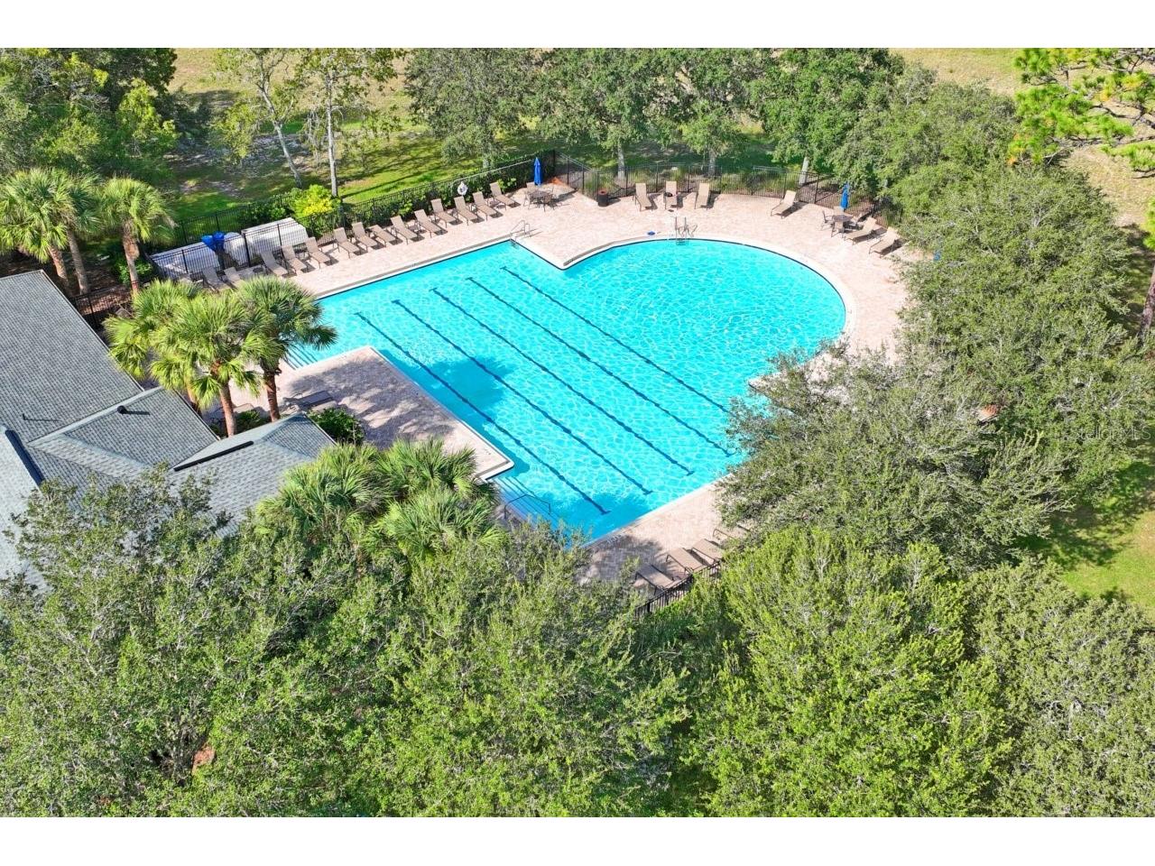 571 Old Windsor Way Spring Hill FL 34609 TB8461392 image56