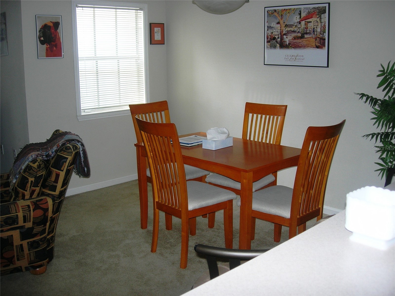 571 Water Street #571 Celebration FL 34747 S5146866 image13