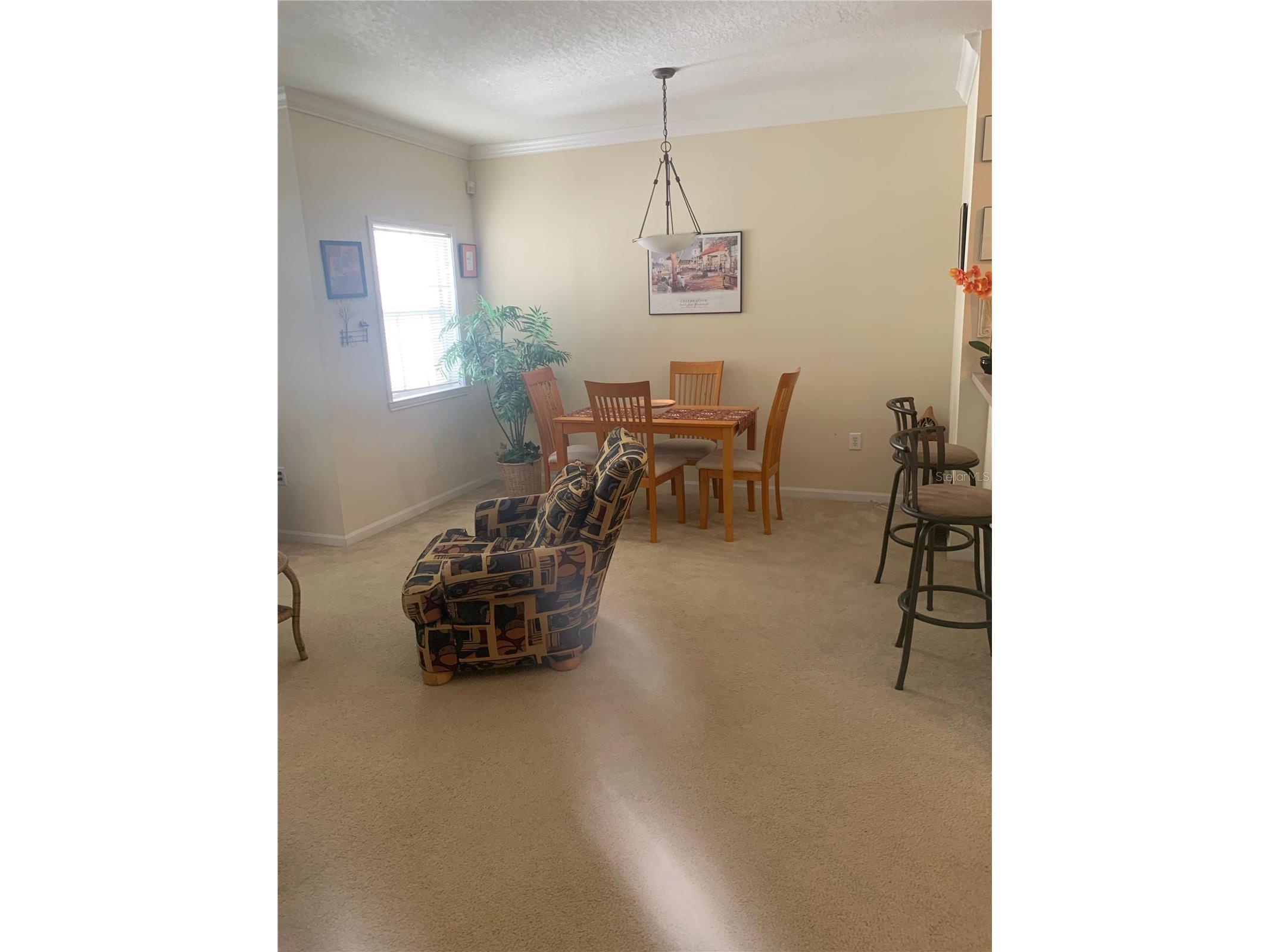 571 Water Street #571 Celebration FL 34747 S5146866 image14