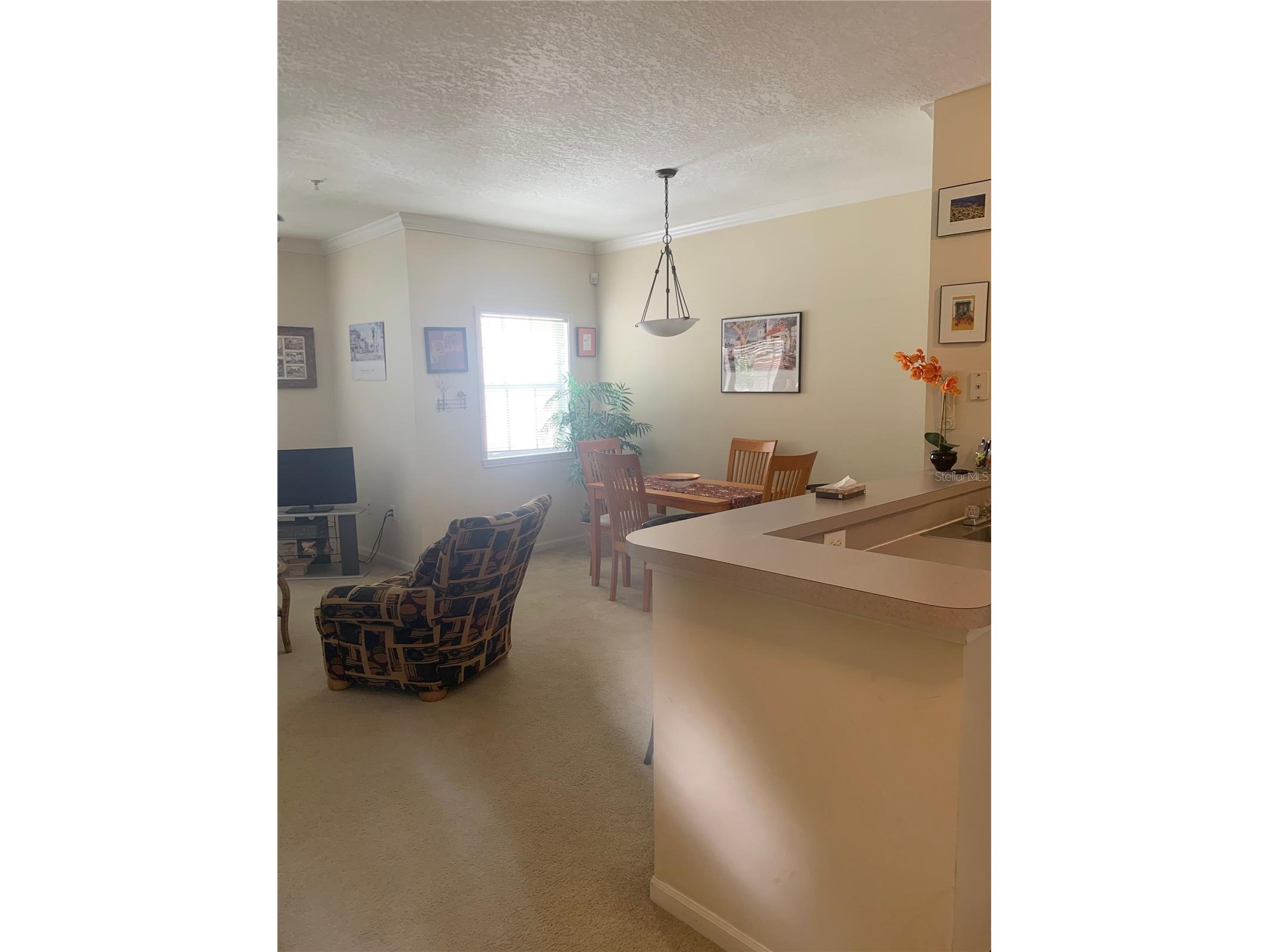 571 Water Street #571 Celebration FL 34747 S5146866 image17