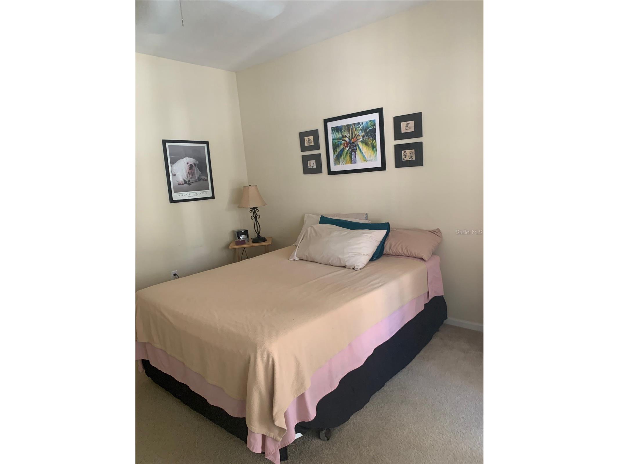 571 Water Street #571 Celebration FL 34747 S5146866 image18