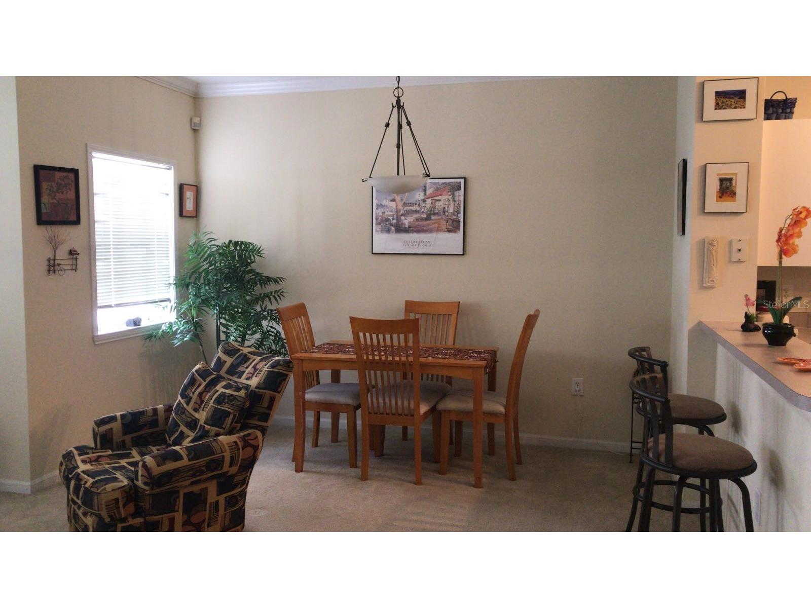 571 Water Street #571 Celebration FL 34747 S5146866 image3