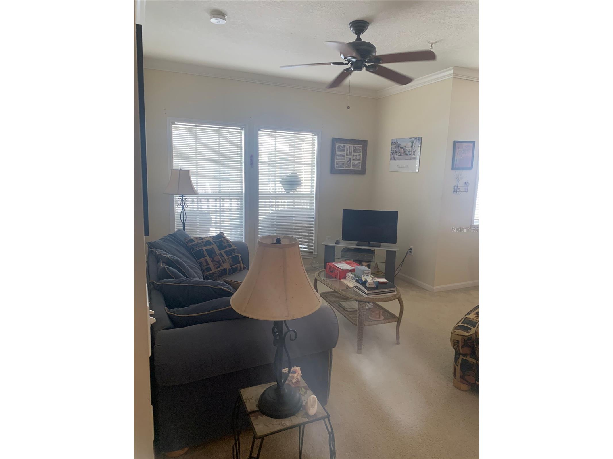 571 Water Street #571 Celebration FL 34747 S5146866 image6