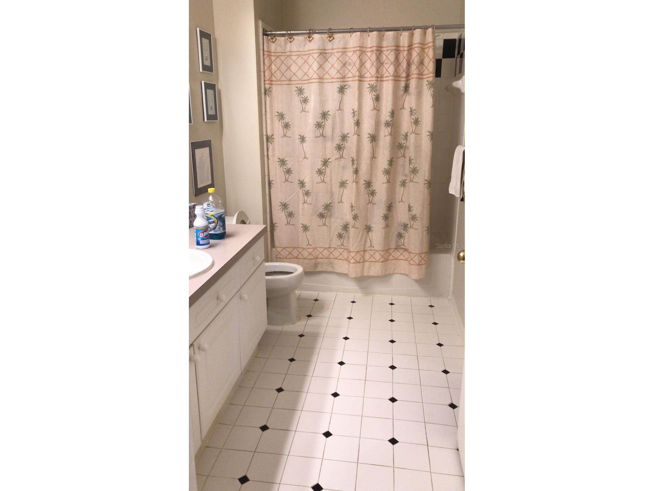 571 Water Street #571 Celebration FL 34747 S5146866 image7