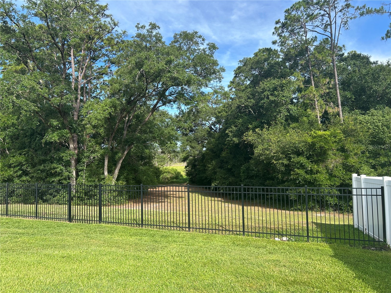 5710 Alenlon Way Mount Dora FL 32757 G5114313 image29