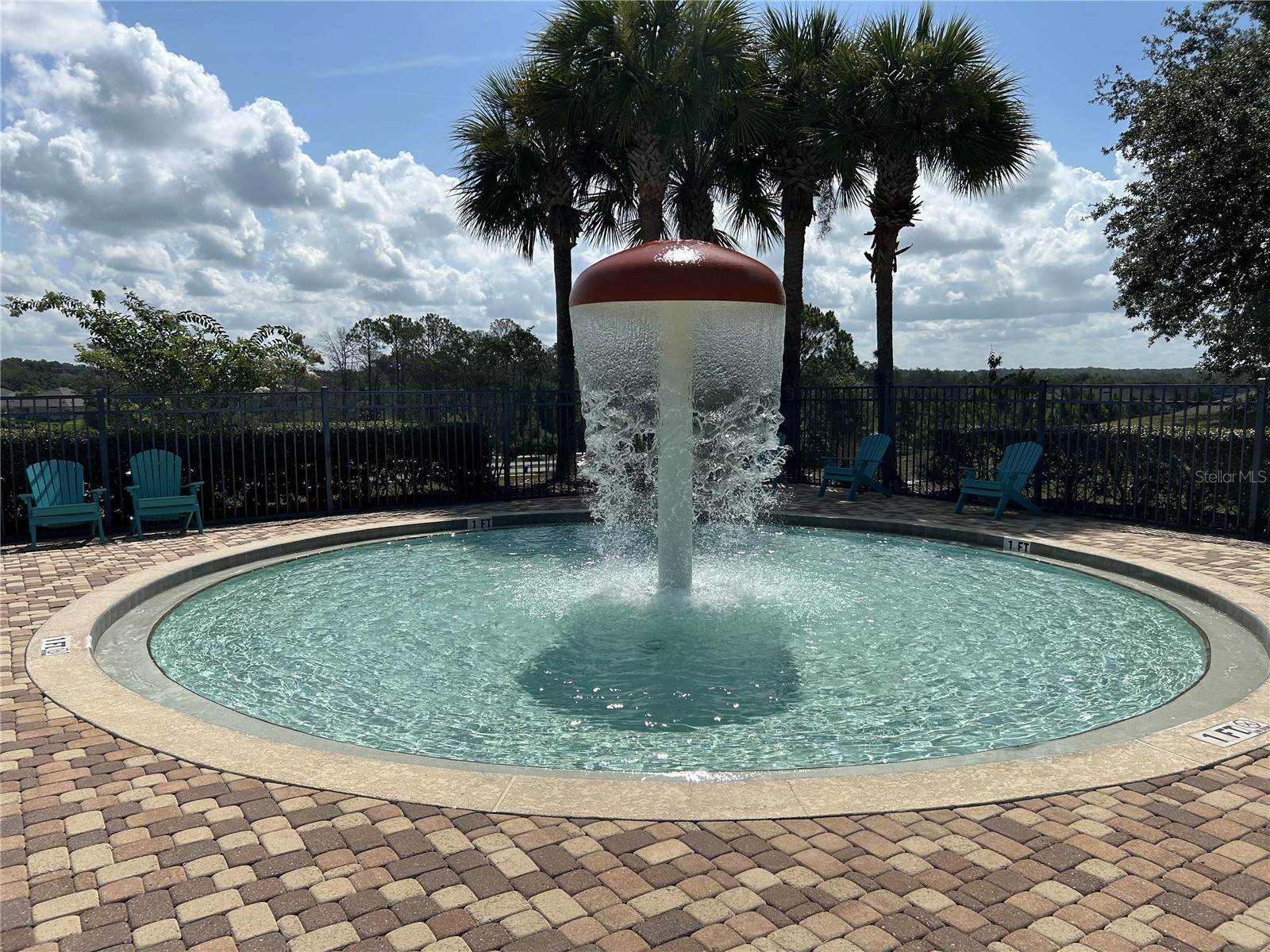 5710 Alenlon Way Mount Dora FL 32757 G5114313 image33