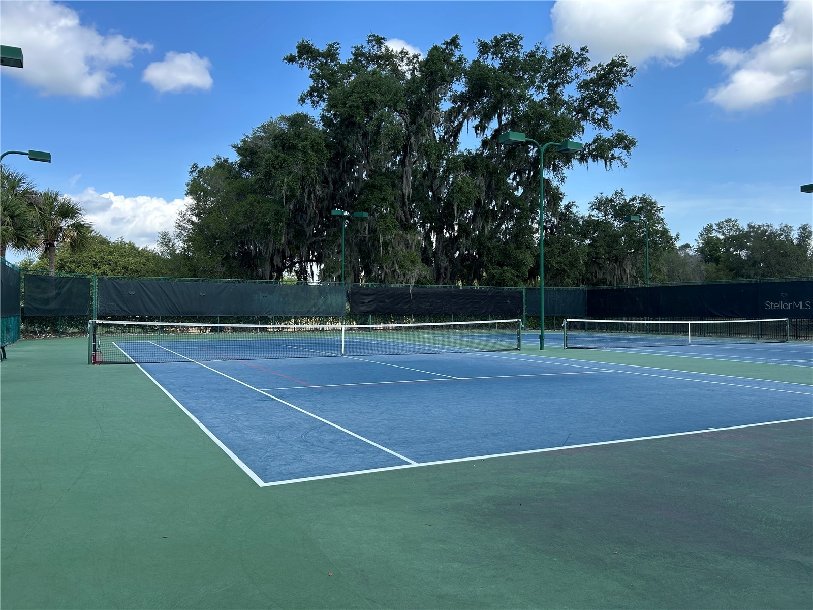 5710 Alenlon Way Mount Dora FL 32757 G5114313 image39