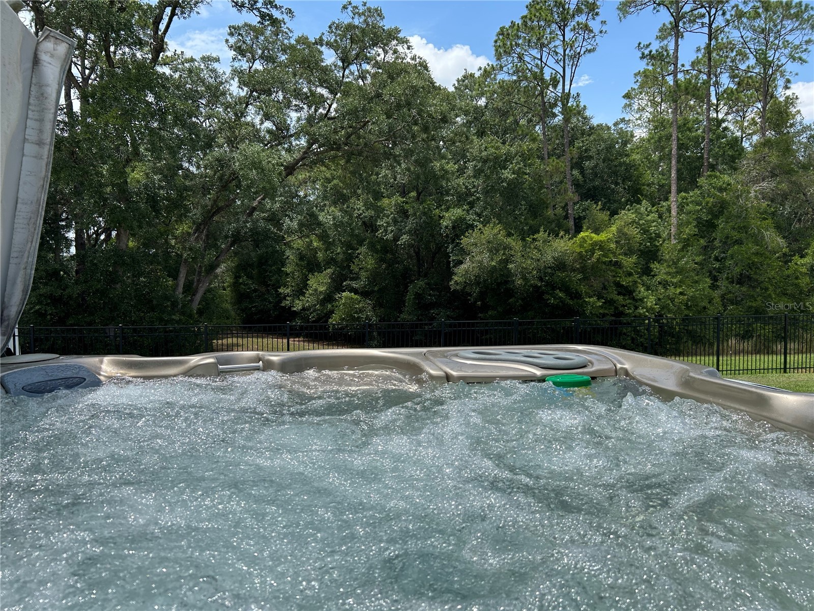 5710 Alenlon Way Mount Dora FL 32757 G5114313 image4
