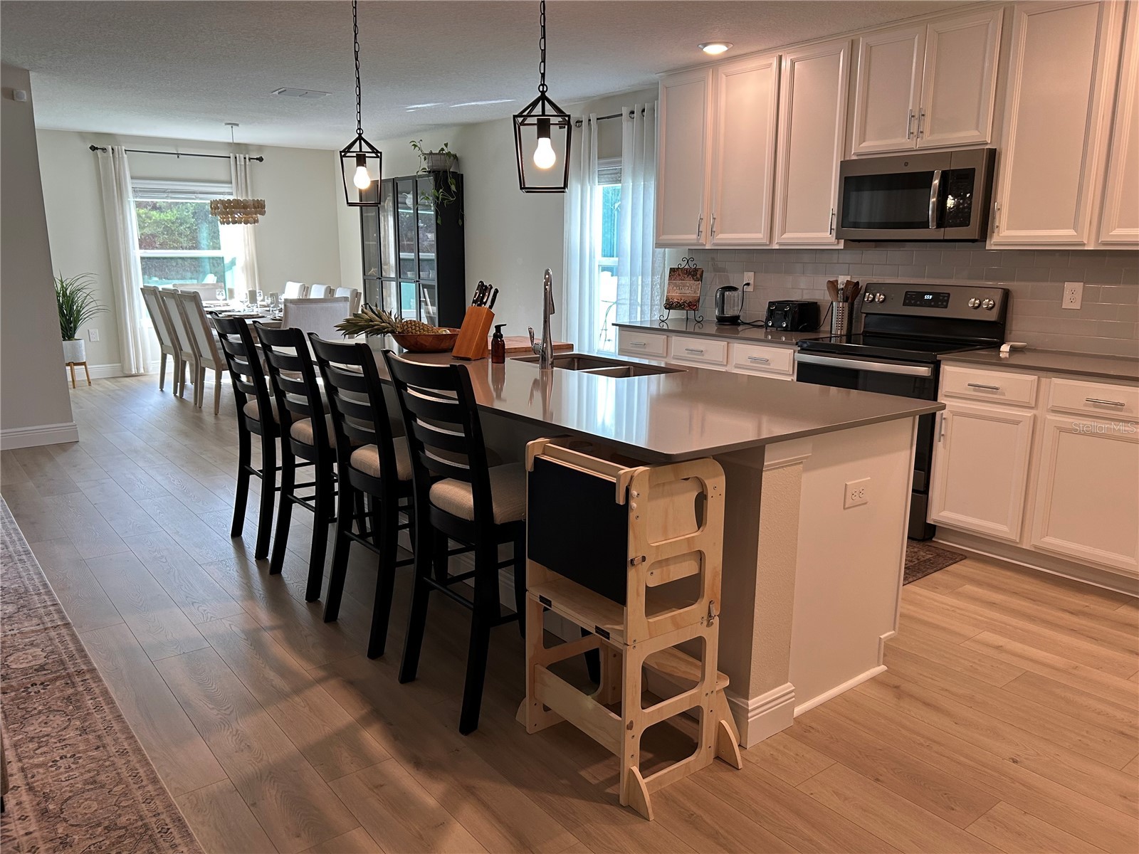 5710 Alenlon Way Mount Dora FL 32757 G5114313 image9