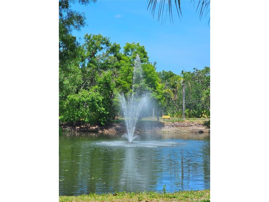 5711 Bentgrass Drive #19-203 Sarasota FL 34235 A4654485 image4