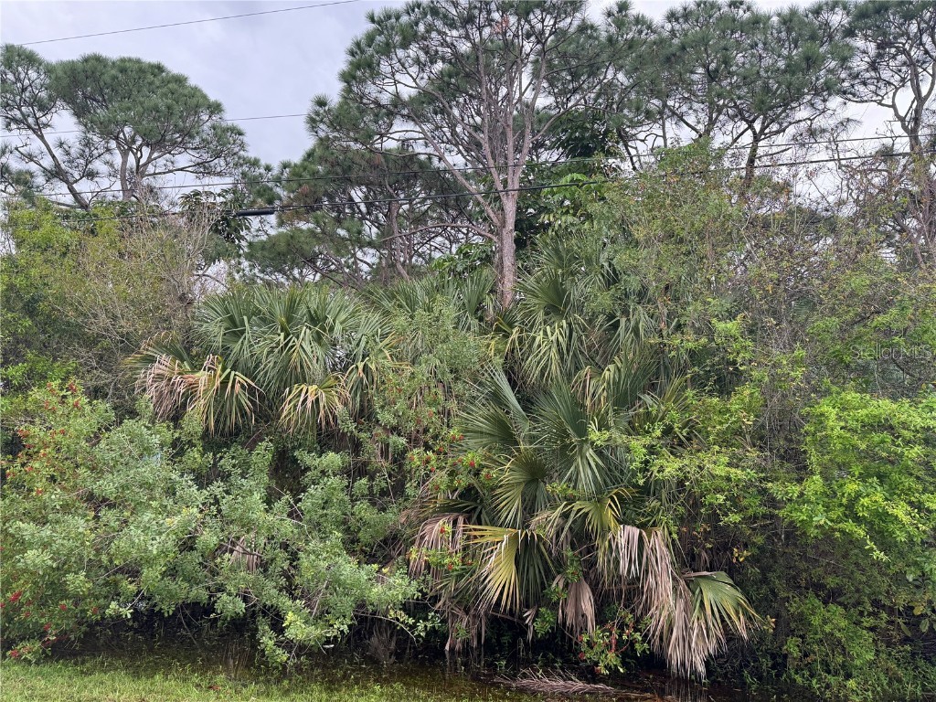 5711 Myrtle Drive Fort Pierce FL 34982 OM673387 image1