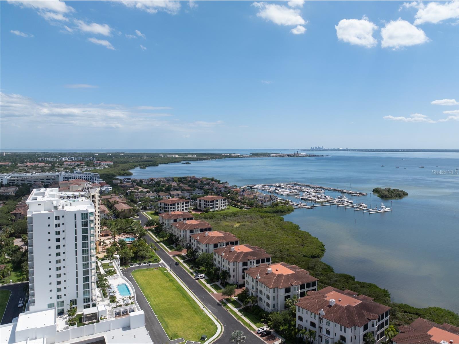 5713 Bowen Daniel Drive #703 Tampa FL 33616 TB8532472 image23