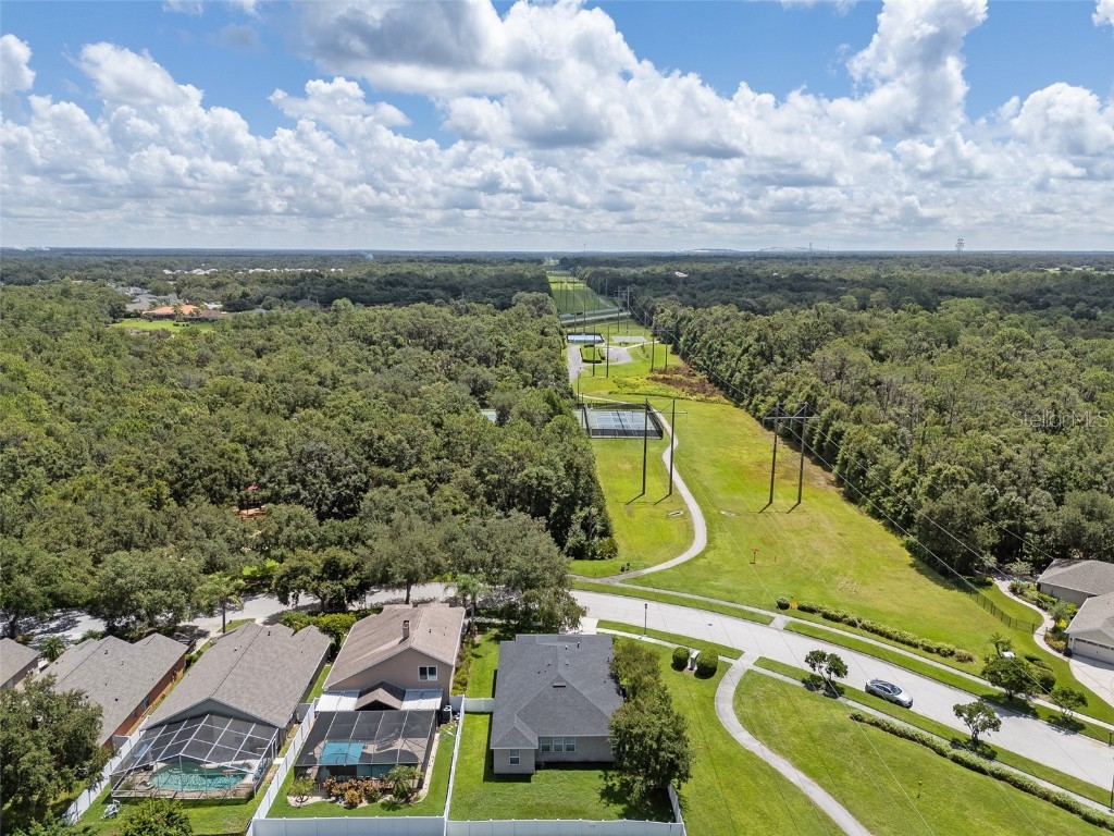 5713 Hawkpark Boulevard Lithia FL 33547 TB8418986 image54