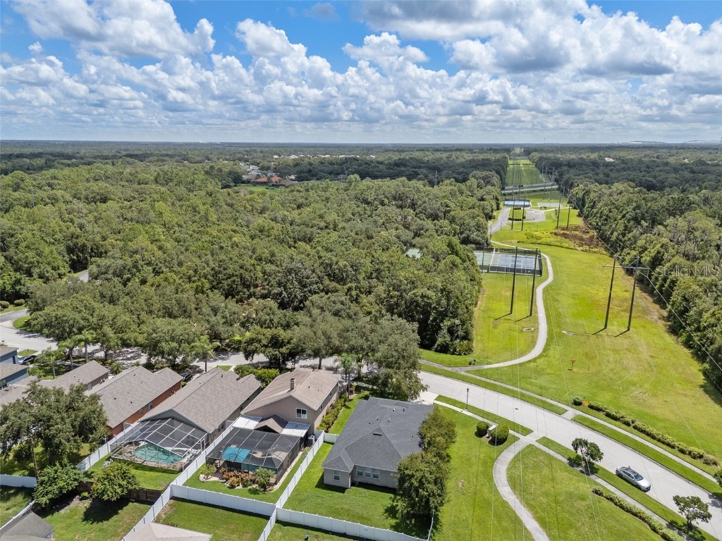 5713 Hawkpark Boulevard Lithia FL 33547 TB8418986 image56