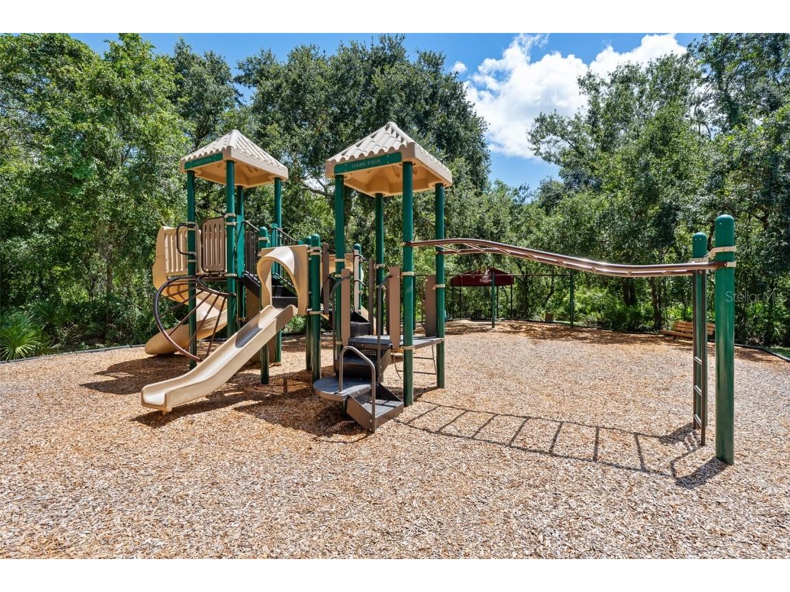 5713 Hawkpark Boulevard Lithia FL 33547 TB8418986 image60