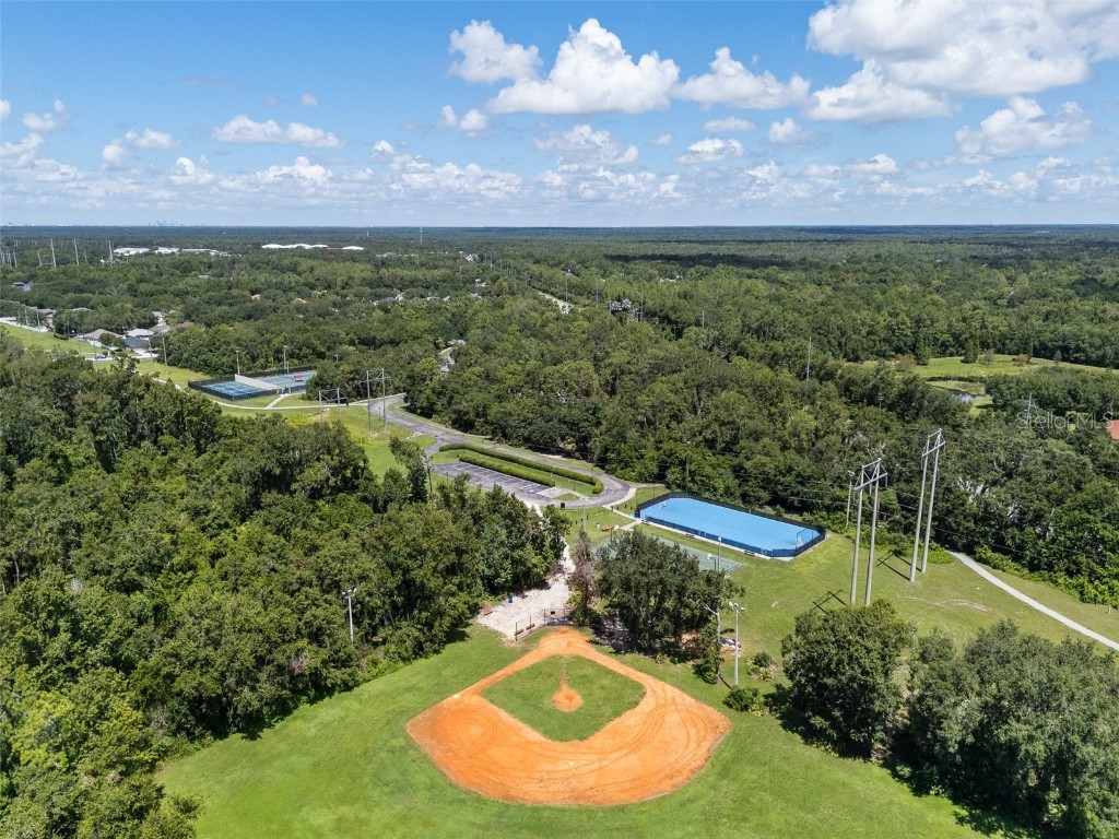 5713 Hawkpark Boulevard Lithia FL 33547 TB8418986 image69