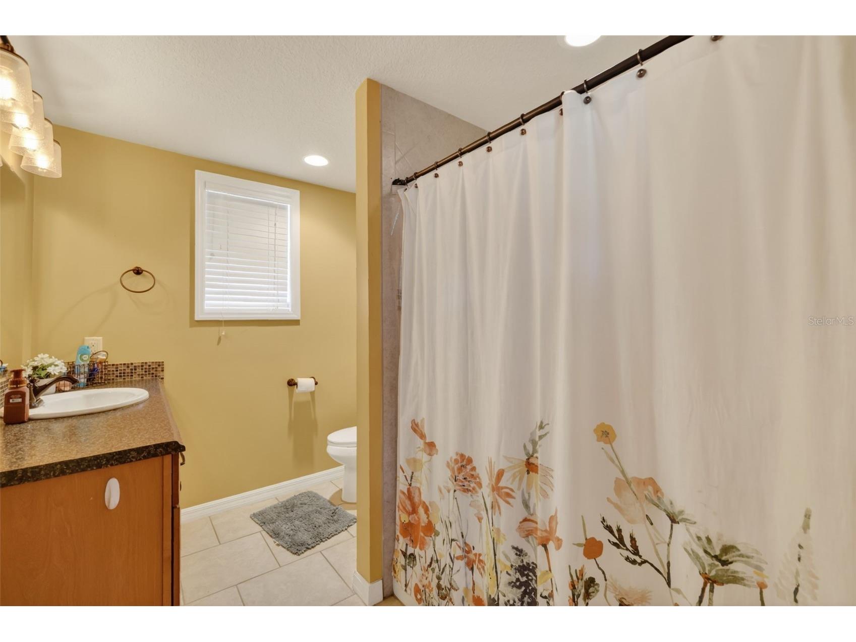 5713 Lake Street Mount Dora FL 32757 G5111280 image15